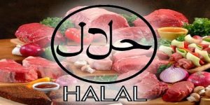 Tips Mencari Makanan Halal Di Denpasar Bali
