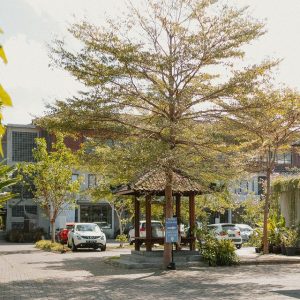 Jangan Sampai Salah Pilih! Ini Dia Apartemen yang Sempurna (PPDS)